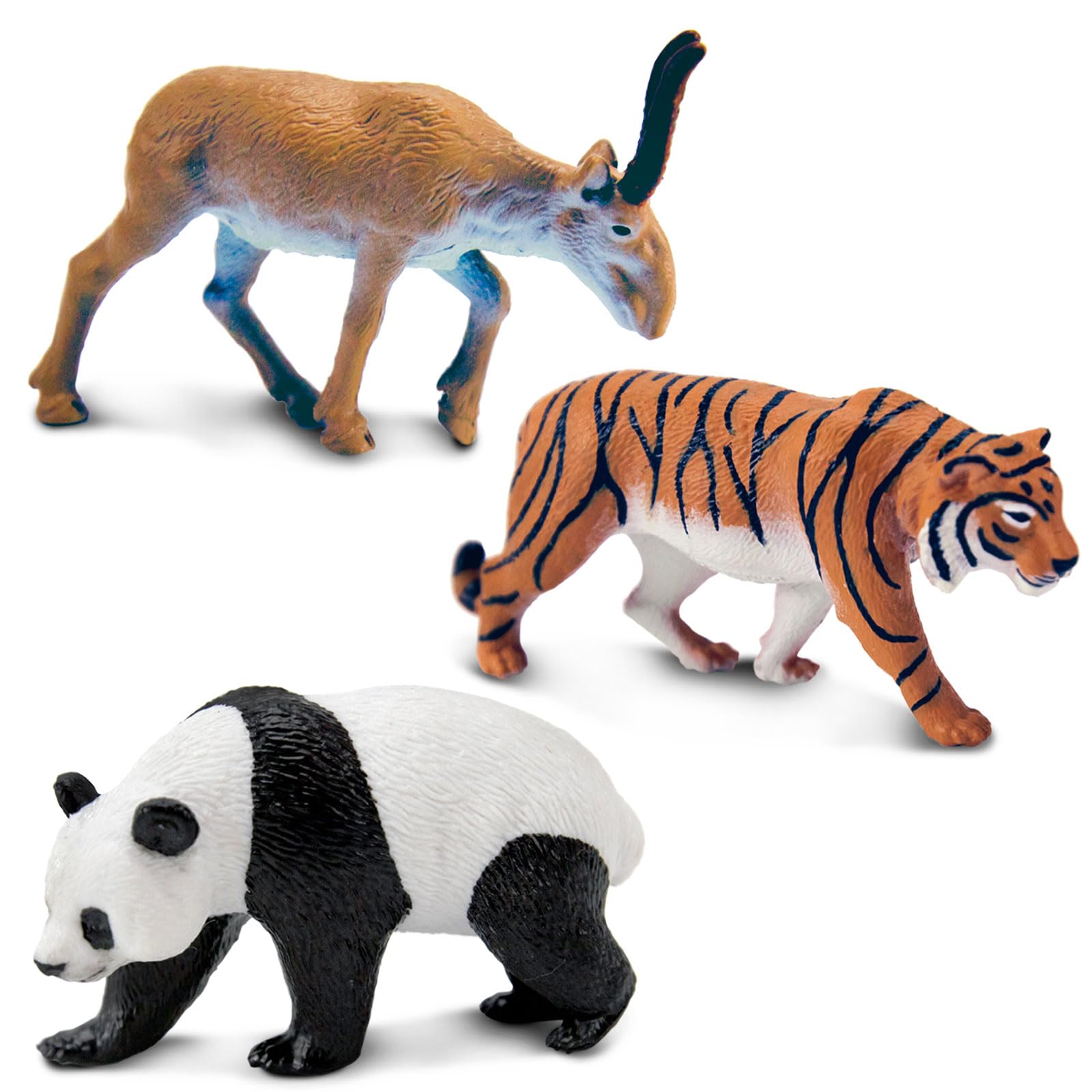 Amazon.co.jp: サファリ - 南米の動物、マルチカラー (S100684